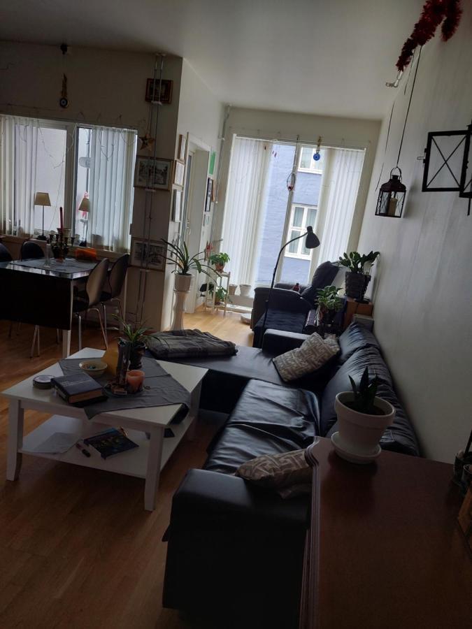 Shared Apartment, Down Town Oslo, Osterhaus'gate 10 Apartment *
